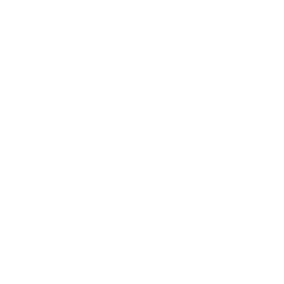 how-we-work-with-check-mark